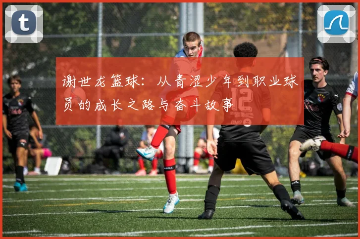 谢世龙篮球：从青涩少年到职业球员的成长之路与奋斗故事
