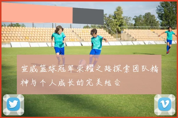 宣威篮球冠军荣耀之路探索团队精神与个人成长的完美结合