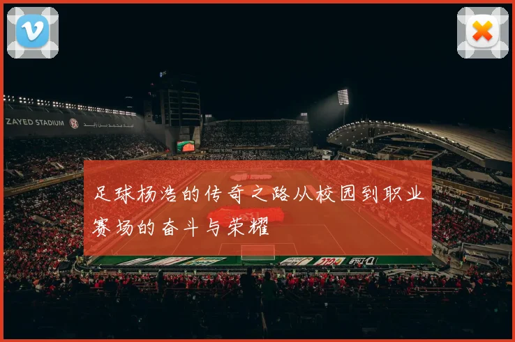 足球杨浩的传奇之路从校园到职业赛场的奋斗与荣耀