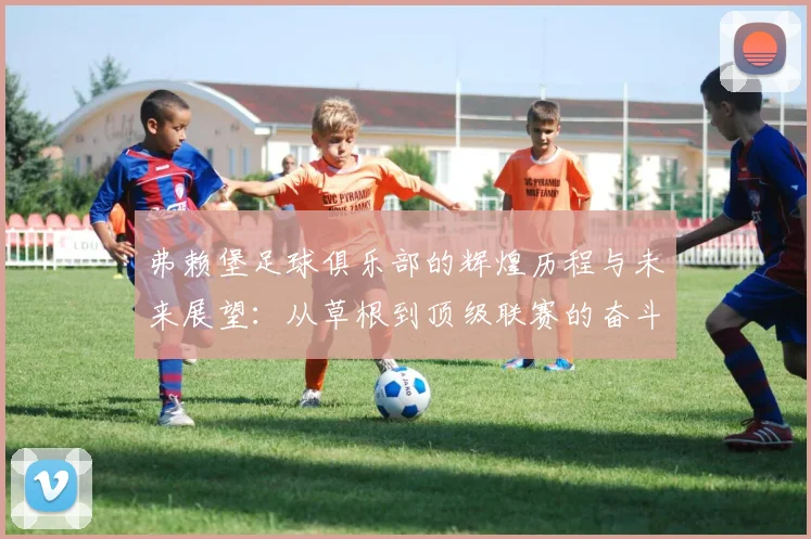 弗赖堡足球俱乐部的辉煌历程与未来展望：从草根到顶级联赛的奋斗之路
